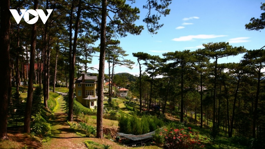 Da Lat among Asia’s leading spots for nature destinations